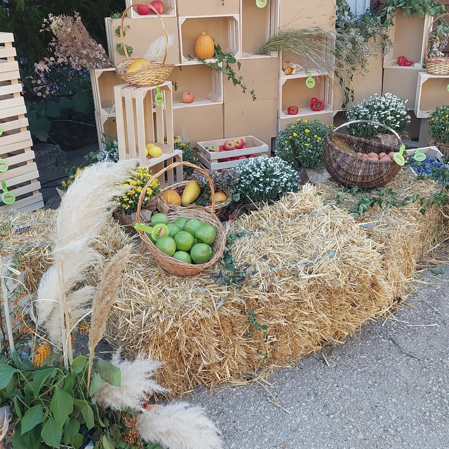Trebinje City Market